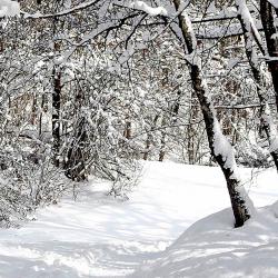 Sankt Kathrein am Hauenstein 7 hotelli