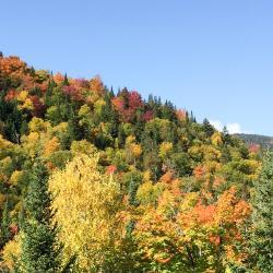 Val-des-Lacs 9 hotels