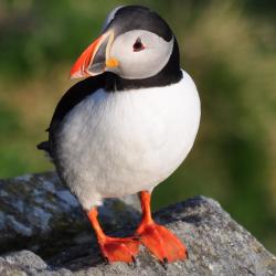 Runde 5 overnatningssteder med k&oslash;kken