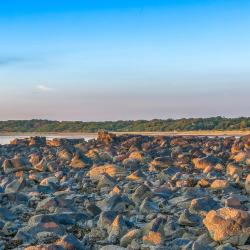 Longniddry 6 holiday rentals