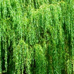 Lusignan 5&nbsp;h&ocirc;tels avec parking