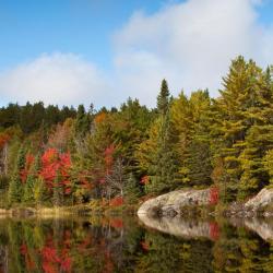 Deep River 3 family hotels