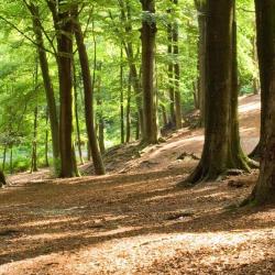 Spaubeek 4 hotels