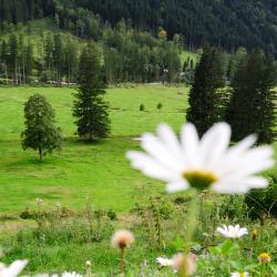 Strass im Attergau 6 hotelů