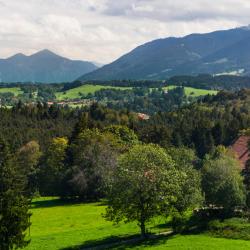 Langenbach 6 hotels