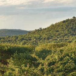 Swartruggens Отели с парковкой (3)