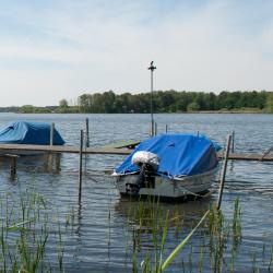 Alt Schadow 반려동물 동반 가능 호텔 4개