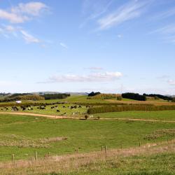 Morrinsville 2 hotelli