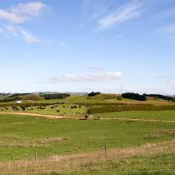 Morrinsville ホテル2軒