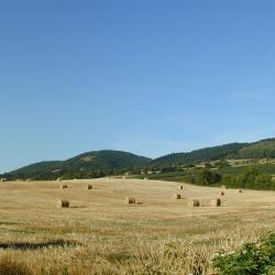 Grenay 3 hotels