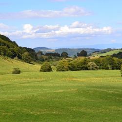 Blesle 5 locations de vacances