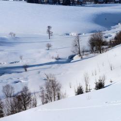 Pobershau 5 Skiresorts
