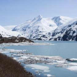 North Pole 3 kjæledyrvennlig