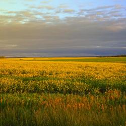 Portage La Prairie 4 levné hotely
