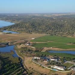 Pedrógão 5 vacation homes