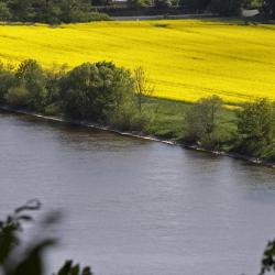 L&ouml;hne 4 m&ouml;kki&auml;