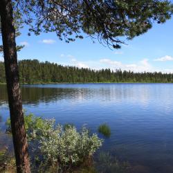 Kurravaara 3 hoteller