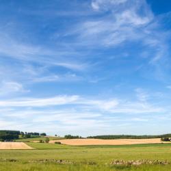 Bridge of Cally 4 hot&eacute;is que aceitam pets