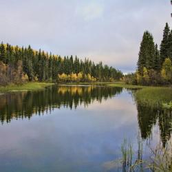 Waskesiu Lake 1 хотел