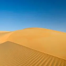 リワ