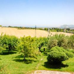 Santa Maria di Scacciano 7 hotels