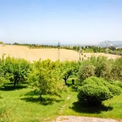 Santa Maria di Scacciano ホテル6軒