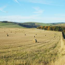 Chirnside 4 4-star hotels