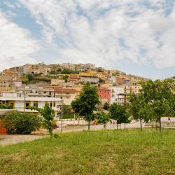 Carpino 8 hotels