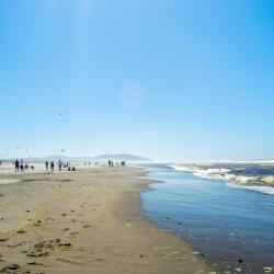 Ocean Park 14 pet-friendly hotels