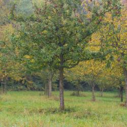 Dillingen an der Saar 5 zakwaterowania bez wyżywienia