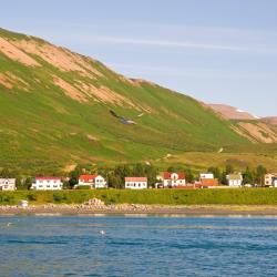 Ólafsfjörður 3 hotely