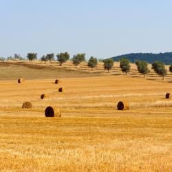 San Lorenzo a Merse 3 hotely