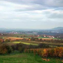 Bindlach 5 hotels