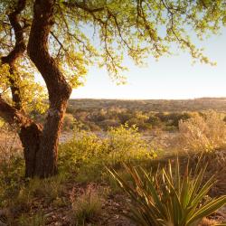 Lampasas 9 hotels