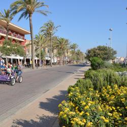 San Francesch 3 hotels