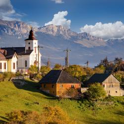 Măgura 3 minicasas