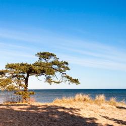 Kolka 19 boliger ved stranden