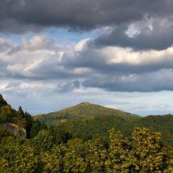 Rheinbreitbach 5家公寓
