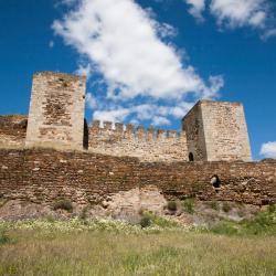 Mourao 17 &xi;&epsilon;&nu;&omicron;&delta;&omicron;&chi;&epsilon;ί&alpha; &mu;&epsilon; &pi;&iota;&sigma;ί&nu;&alpha;