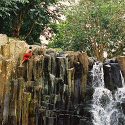 Surinam 3 bed and breakfast