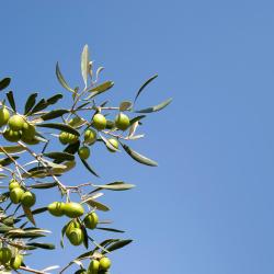 T&aacute;rrega 3 hot&eacute;is com estacionamento
