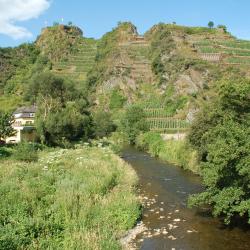 Mayscho&szlig; 7 Ferienwohnungen