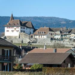 Erlach 4 apartments