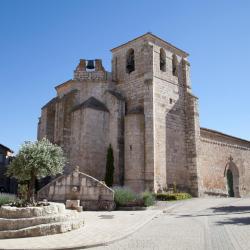 Curiel de Duero 6 casas de campo