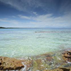 Currarong 24 pet-friendly hotels