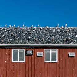 Sanford 5 hot&eacute;is com banheiras de hidromassagem