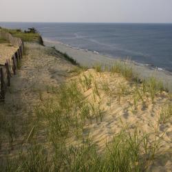 South Wellfleet 1 hotel