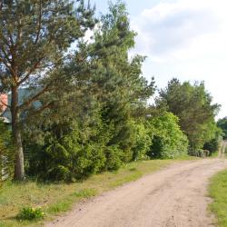 Żuromino 12 of the cottages