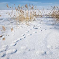 Рыдзево 47 отелей