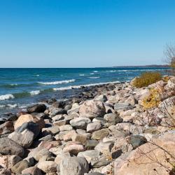 Wiarton 31 hotels